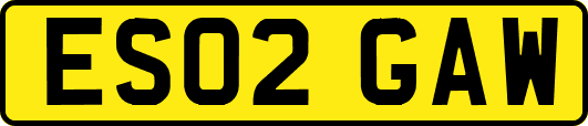 ES02GAW