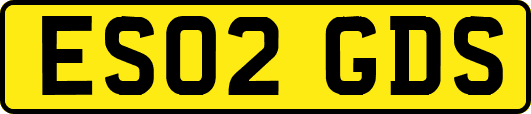 ES02GDS