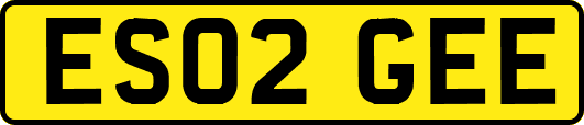 ES02GEE