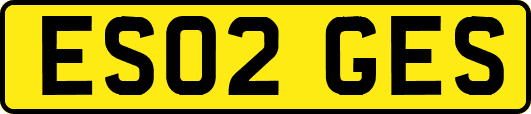 ES02GES
