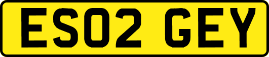 ES02GEY