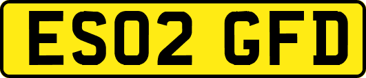 ES02GFD