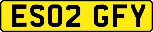 ES02GFY