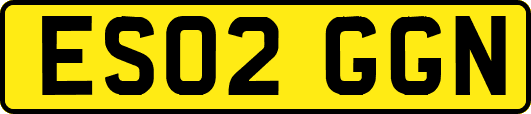 ES02GGN