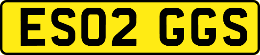 ES02GGS