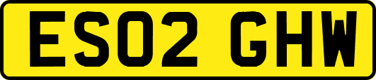 ES02GHW