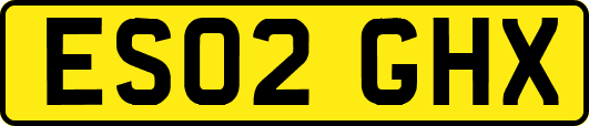 ES02GHX