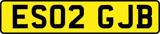 ES02GJB