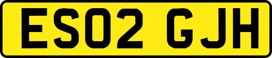 ES02GJH