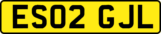 ES02GJL