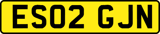 ES02GJN