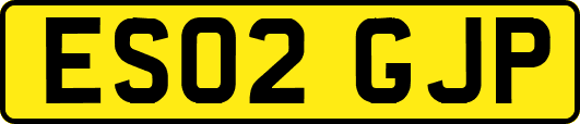 ES02GJP