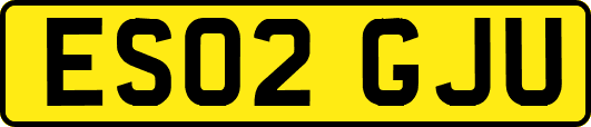 ES02GJU