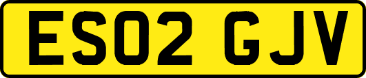 ES02GJV