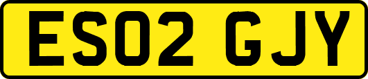 ES02GJY