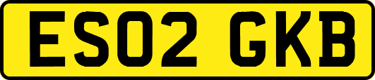 ES02GKB