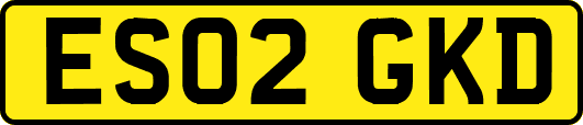 ES02GKD