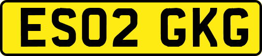 ES02GKG