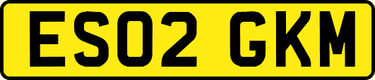 ES02GKM