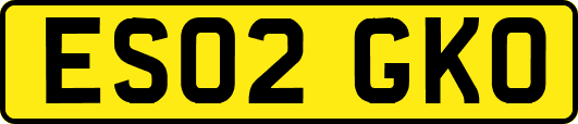 ES02GKO