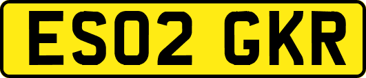 ES02GKR