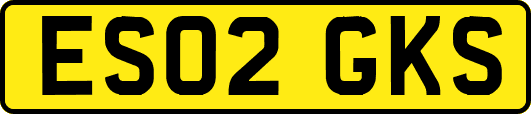 ES02GKS