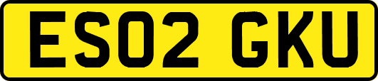 ES02GKU