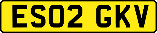 ES02GKV