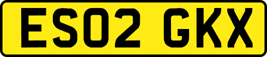ES02GKX