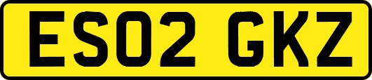 ES02GKZ