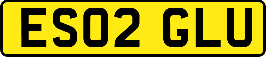ES02GLU