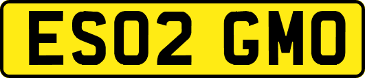 ES02GMO