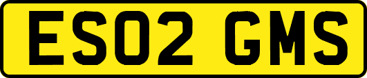 ES02GMS
