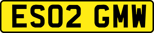 ES02GMW