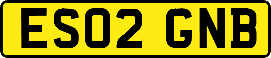 ES02GNB