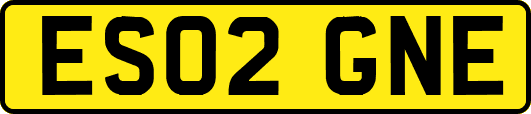 ES02GNE