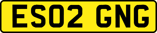 ES02GNG