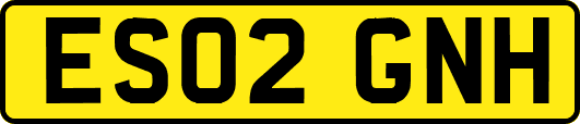 ES02GNH