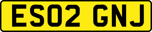 ES02GNJ