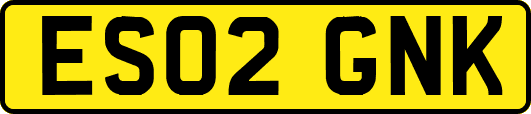 ES02GNK