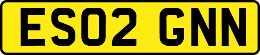 ES02GNN