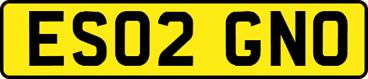 ES02GNO