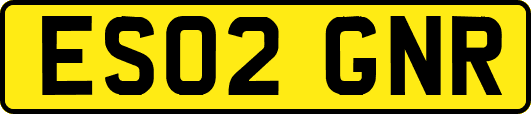 ES02GNR