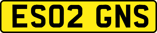 ES02GNS