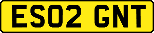 ES02GNT