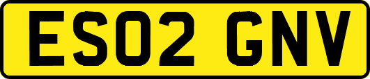 ES02GNV