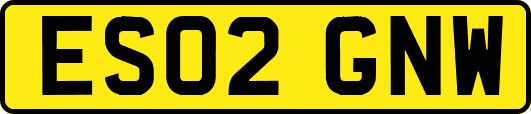 ES02GNW