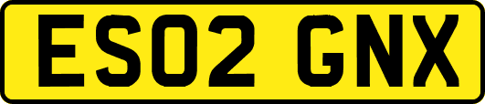 ES02GNX