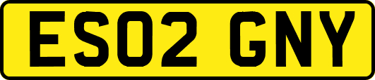 ES02GNY