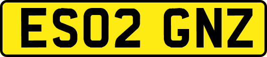 ES02GNZ